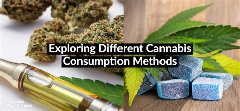  A Journey through Innovative Cannabis Consumption Methods 