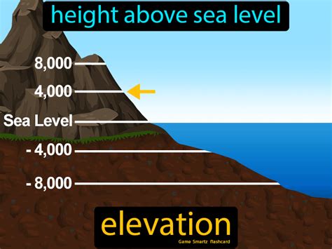  A Look at Aurmi's Elevation and Physical Measurements 