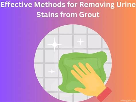  Achieving a Pristine Living Space: Effective Methods for Eliminating Urine Stains 