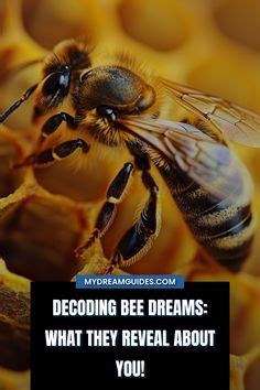  Bees as Messengers from the Subconscious Mind 