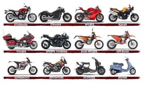  Choosing the Ideal Motorcycle: A Beginner's Comprehensive Guide 