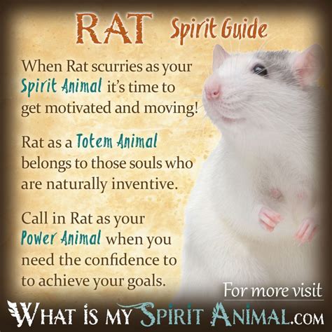  Common Symbolism and Meanings Associated with Rats and Water 