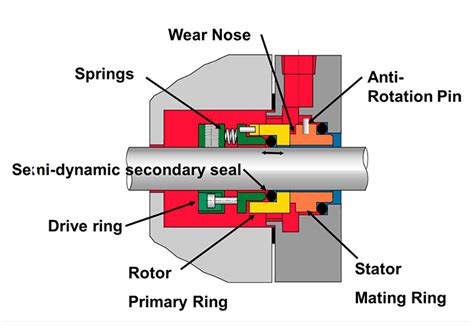  Connections between the Seal and Water Elements 