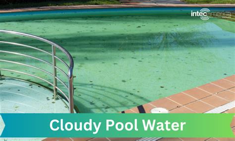  Crystal Clear or Murky Waters: Analyzing the Condition of the Pool 