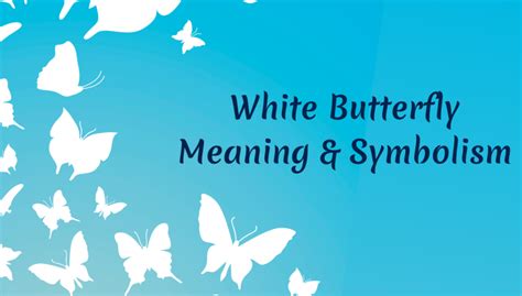  Cultural Symbolism of White Butterflies 