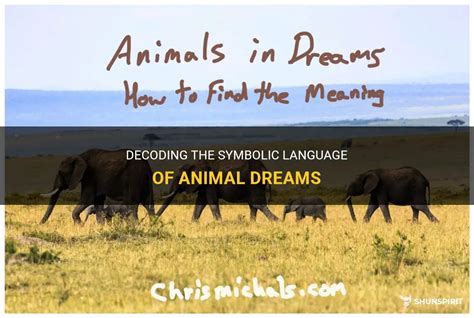  Decoding the Significance of Animal Urine in Dreams: Exploring Various Symbolic Meanings 