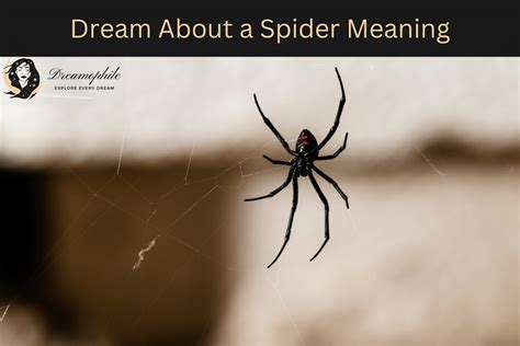  Decoding the Significance of Arachnid-Related Dreams 