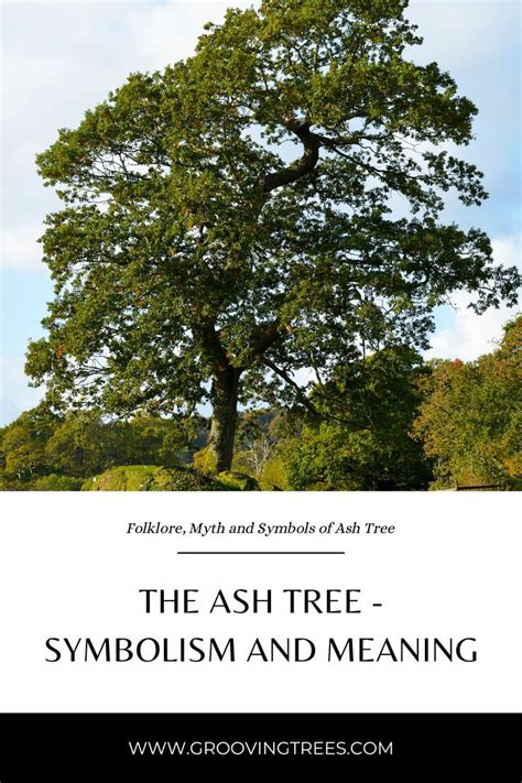  Decoding the Symbolic Significance of Ash-toned Tree Rodents in the Field of Psychology 