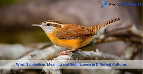  Decoding the Symbolism of Avian Creatures in Oneiric Experiences 