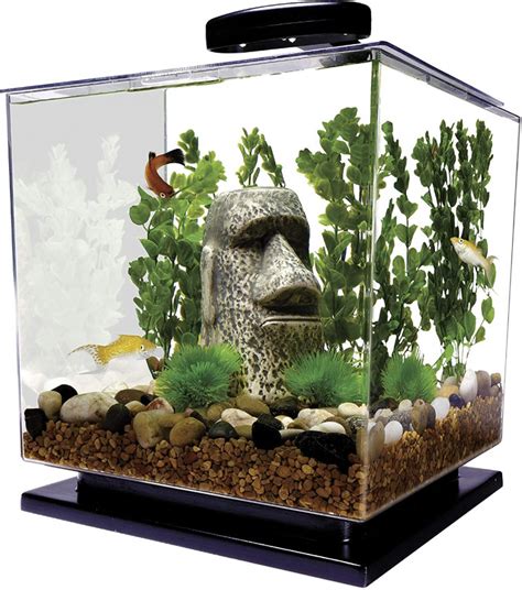  Discovering the Perfect Aquarium for Your Space 