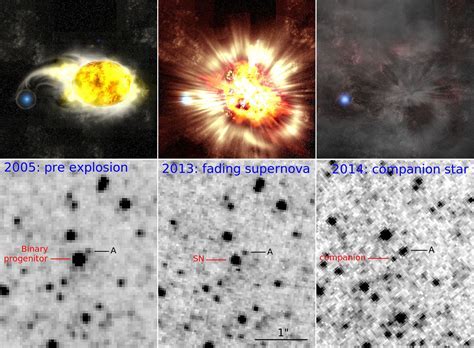  Early Life and Background of the Enigmatic Star 