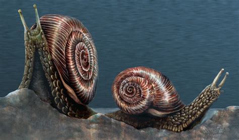  Embracing the Message: Taking Action Based on Your Vision of an Enormous Gastropod
