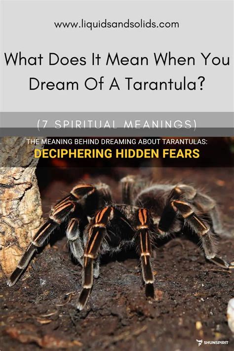  Empowering Perspectives: Conquering Anxiety through Tarantula Dreams 