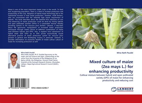  Enhancing Productivity of the Latest Maize Cultivar 