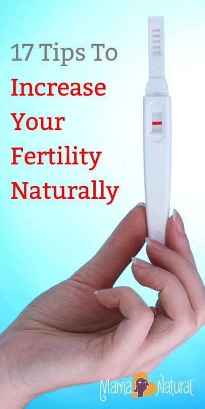  Exploring Fertility Options: From Natural Methods to Medical Interventions 