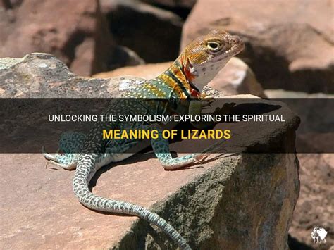  Exploring the Deep Significance of Lizards and Embracing their Symbolism
