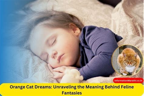  Exploring the Deeper Meaning of the Feline Birth Phenomenon in Dreams 