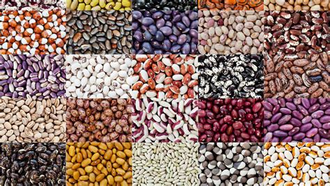  Exploring the Diverse World of Red Beans And Rice: Global Variations 