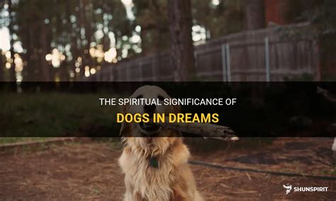  Exploring the Potential Significance of Dog-related Dreams