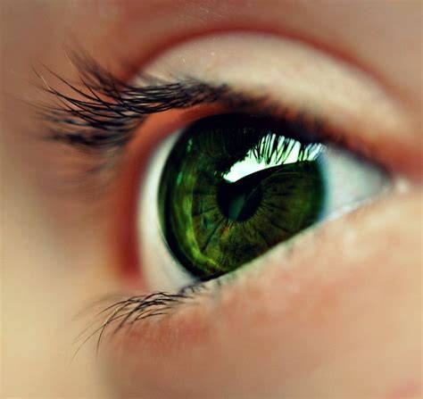  Exploring the Significance of Dreaming about an Infant With Emerald-Colored Eyes 