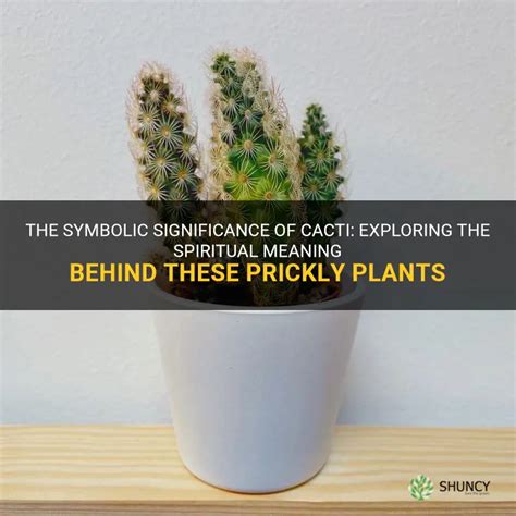  Exploring the Spiritual and Symbolic Significance of the Prickly Succulent 