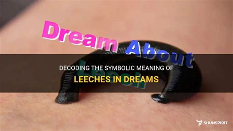  Exploring the Symbolic Meaning of an Abundance of Leeches 