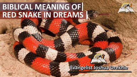  Exploring the Symbolism of a Red Eyed Snake in Dreams 