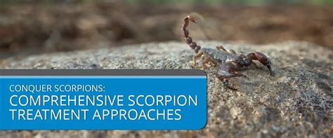  Facing Scorpions: Embracing Exposure Therapy in Controlled Settings 