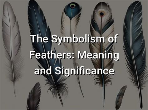  Feather Symbolism in Various Cultures and Traditions 