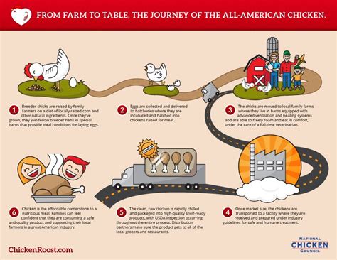  From Farm to Table: Understanding the Process of Raising Quality Poultry