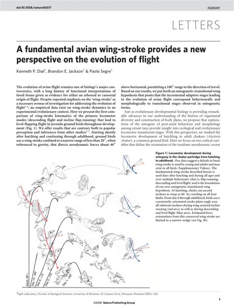  Future Research and Discoveries in Avian Flight Exploration 