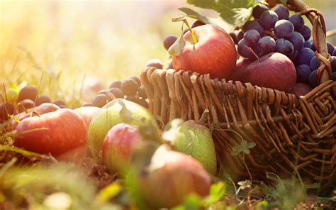  Harvesting and Enjoying the Fruits of Your Efforts 