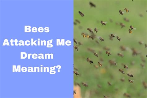  Insights into the Meaning Behind Bee Attacks in Dream Interpretation 