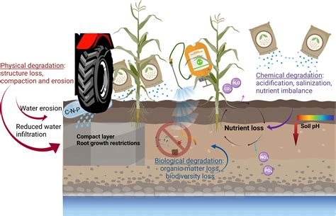  Organic Remediation Methods: Naturally Restoring Your Soil 