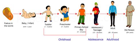  Personal Details and Life Stages 