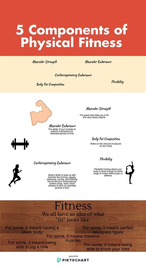  Physical Attributes and Fitness Regimen 