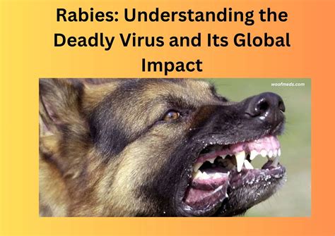  Rabies: A Nightmare in Human and Animal Population 