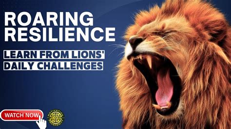  Roaring with Resilience: Overcoming Challenges like a Lioness 