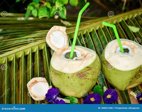  Selecting and Preserving Juicy, Fresh Coconut Fruit 