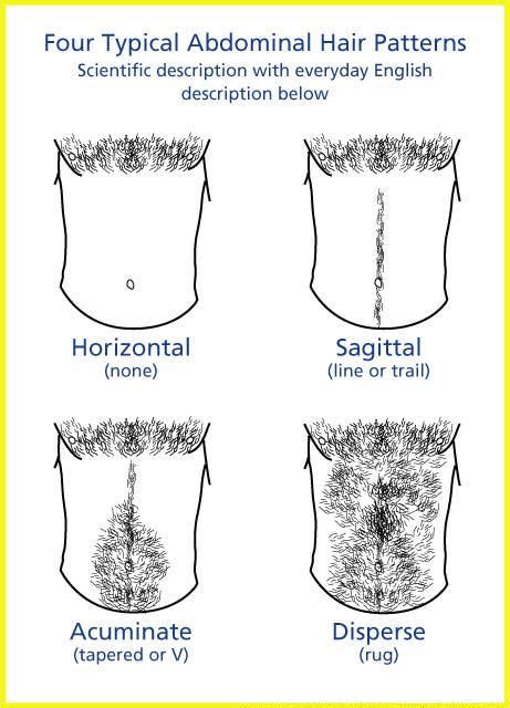  Tapping into the Potential of Abdominal Hair Fantasies for Personal Development 