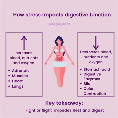  The Impact of Stress on Digestion: Understanding the Mind-Body Connection 