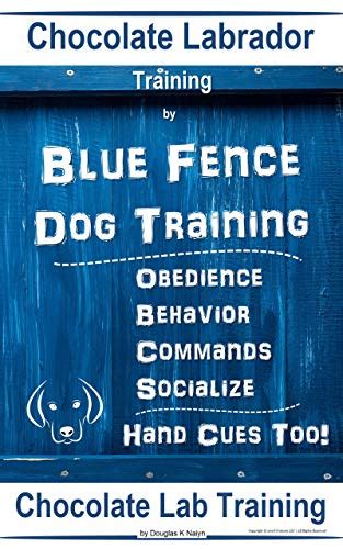  Training Your Chocolate Labrador: Fundamental Commands, Socialization, and Behavior Management 