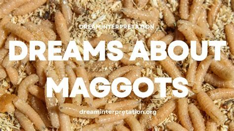  Understanding the Role of Emotions in Dreams of Maggot-Infested Attire 