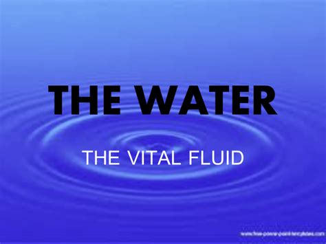  Unlocking the Significance and Cultural Context of Vital Fluids 