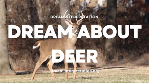  Unraveling the Subconscious Connection between Deer and Water 