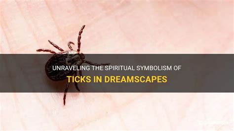  Unraveling the Symbolic Meaning of Epidermal Lesions in Dreamscapes 