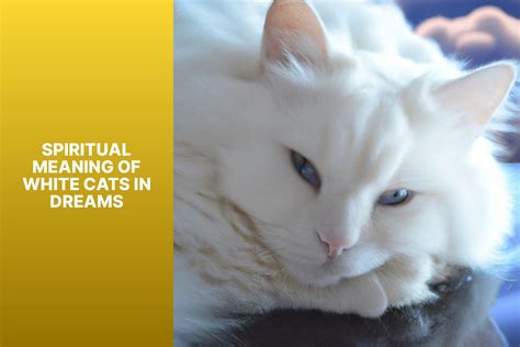  Unveiling the Significance of Felines in Dreams 