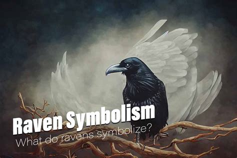  Unveiling the Symbolic Importance of Ravens 