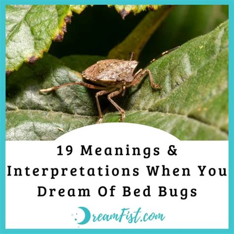  Unveiling the Symbolic Meaning of Bedbugs in Dreams 