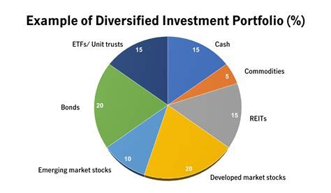  Wealth and Financial Portfolio of the Enigmatic Personality 